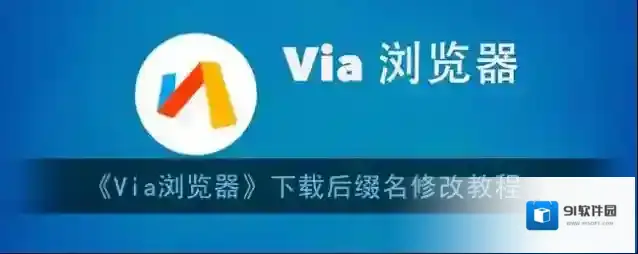 Via浏览器下载