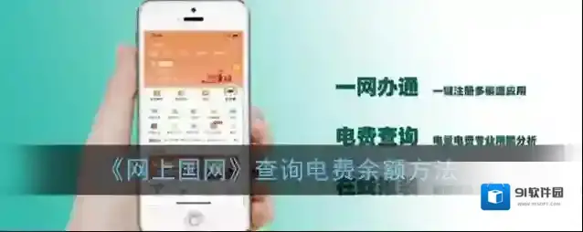 《网上国网》查询电费余额方法