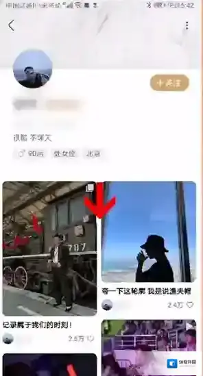 新浪绿洲的是