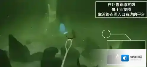 光遇每日任务
