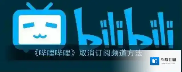 哔哩哔哩频道