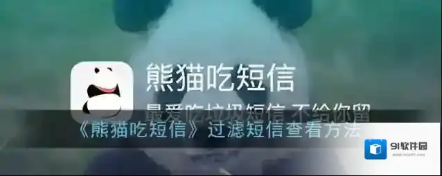 熊猫吃短信信息