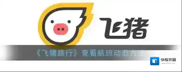 飞猪旅行航班动态