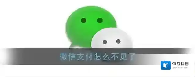 微信支付怎么不见了