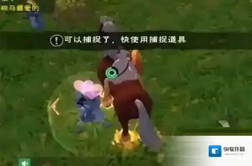 创造与魔法敲晕