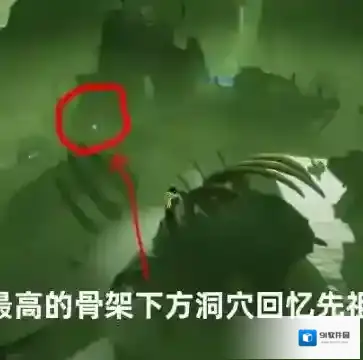 光遇每日任务