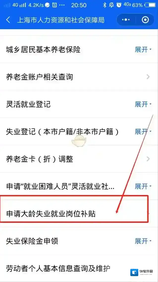随申办市民云西藏