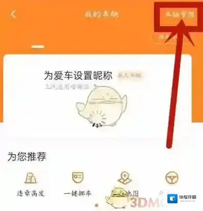 平安好车主选项