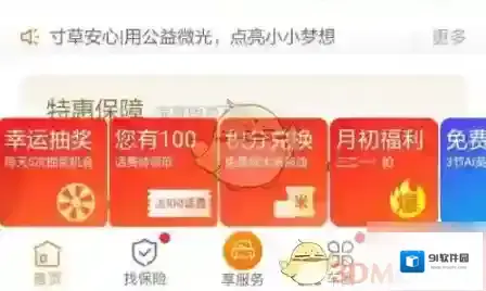 平安好车主保单