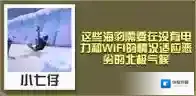 疯狂动物园爱斯基摩海豹怎么抓 爱斯基摩海豹属性图鉴