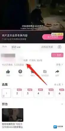哔哩哔哩选择