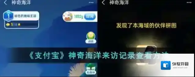《支付宝》神奇海洋来访记录查看方法