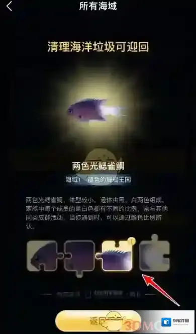 支付宝海洋