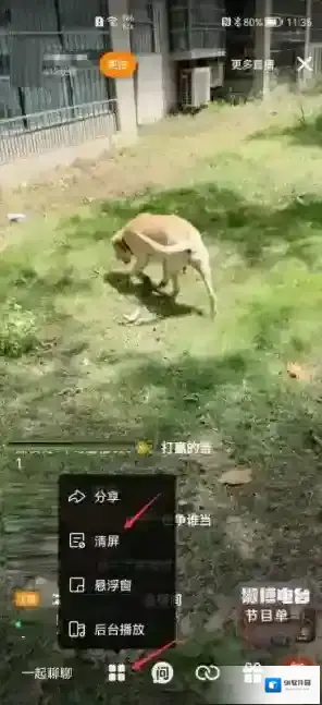 微博选择