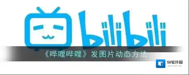 哔哩哔哩就可以