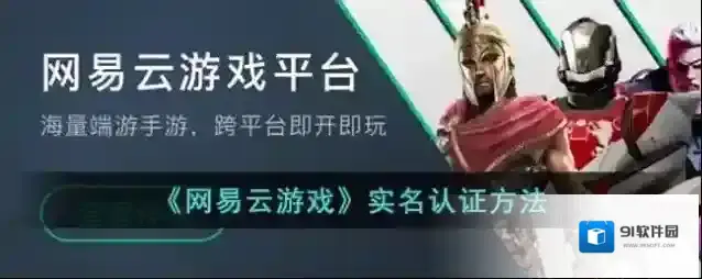 网易云游戏信息
