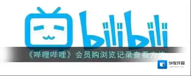 哔哩哔哩会员购