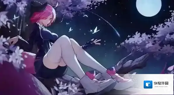 双生幻想阵容