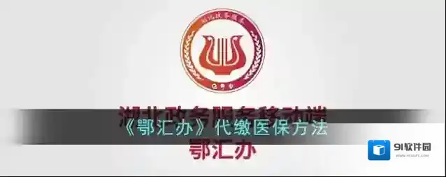 鄂汇办点击