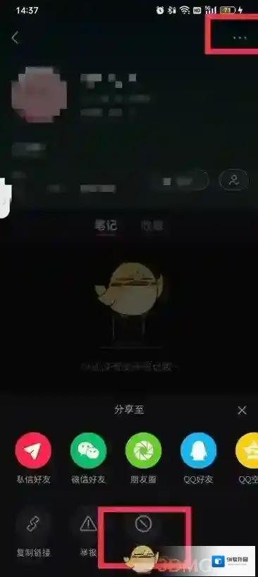 小红书页面