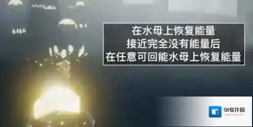光遇雨林