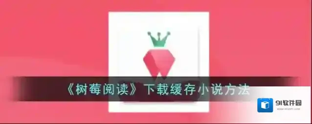 树莓阅读下载
