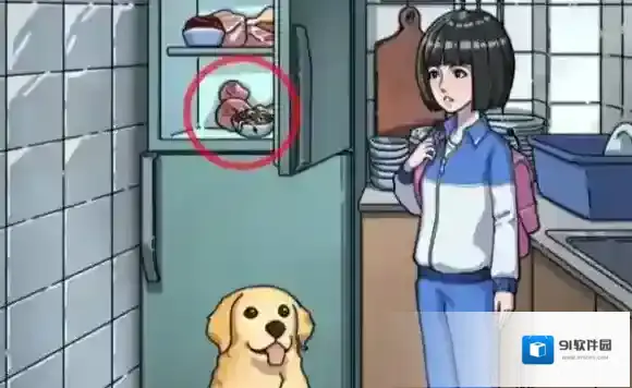 隐秘的档案镜子