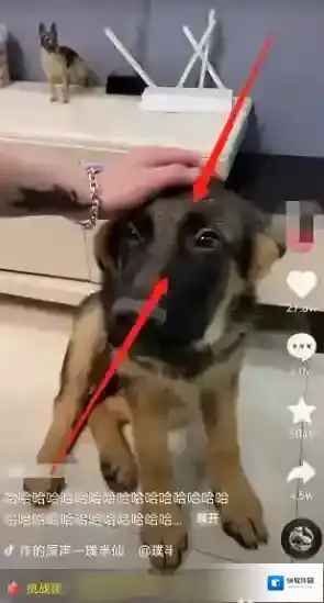 抖音捏合