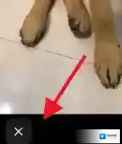 抖音来源于
