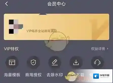 天天拼图会员权益