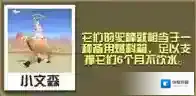 疯狂动物园骆驼