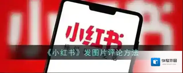小红书图片