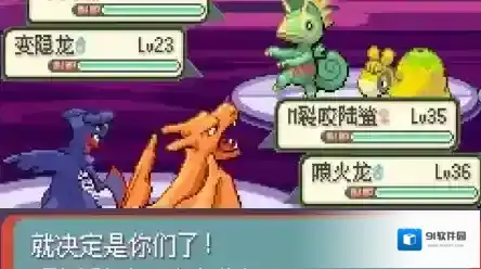口袋妖怪宝可梦