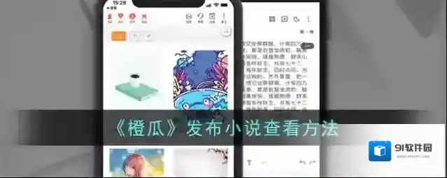 《橙瓜》发布小说查看方法