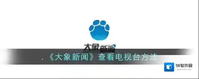 大象新闻大象