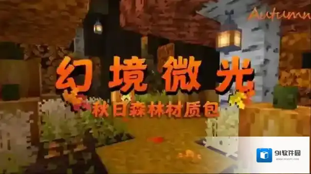 我的世界小镇