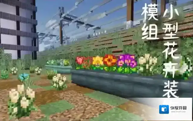 我的世界作者