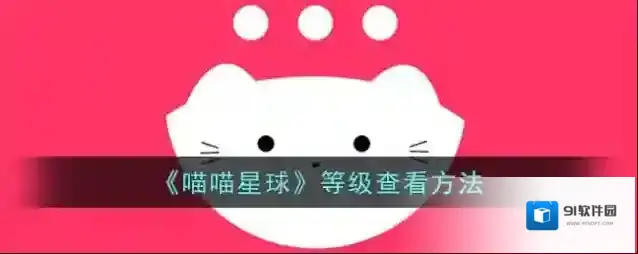 喵喵交友我的等级