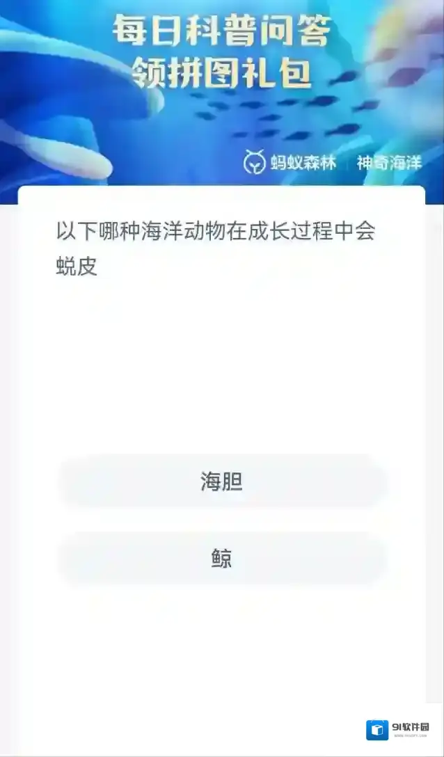 支付宝身体