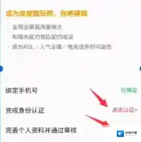 皮皮陪玩申请