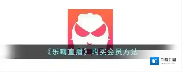 乐嗨选项