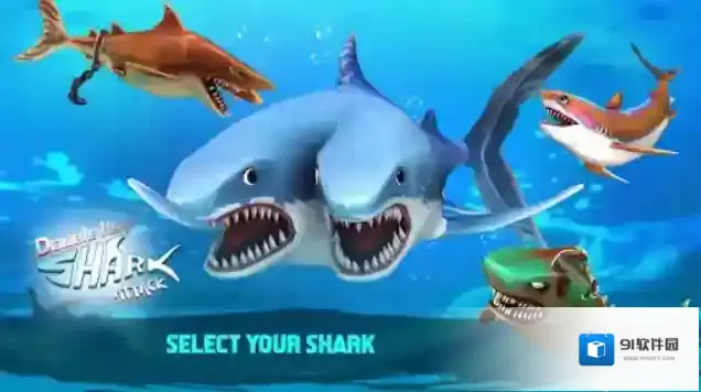 双头鲨攻击鲨鱼