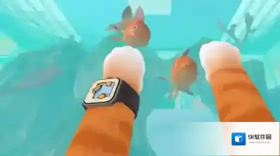 我是猫第一人称视角